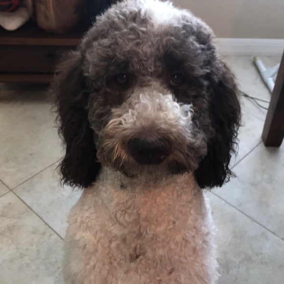 Meet your Posher, Jae - Picture 1 of 1